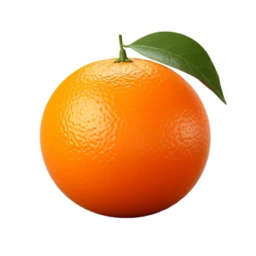 طرح پرتقال بدون زمینه